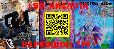 ГАЛЛЮЦИНОГЕННЫЕ ГРИБЫ Можга