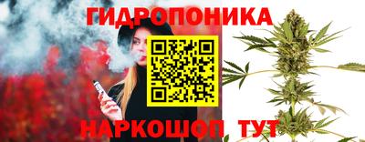 ГАЛЛЮЦИНОГЕННЫЕ ГРИБЫ Можга
