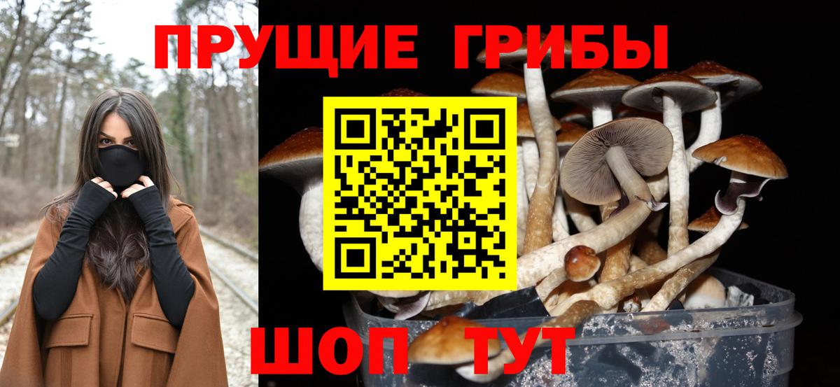 Галлюциногенные грибы GOLDEN TEACHER Славгород